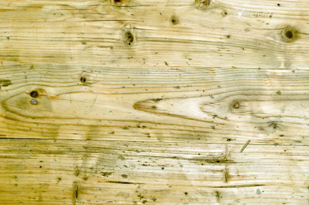 Wooden texture