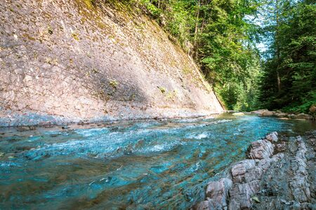 Mountain river water landscape. Wild river in mountains. Mountain wild river water viewの写真素材