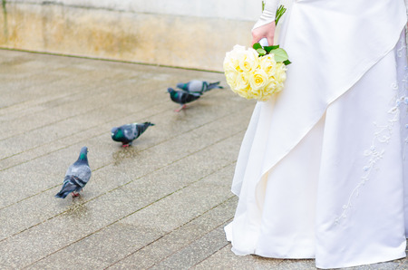 Weddingの写真素材