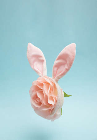 Creative Easter concept with Bunny rabbit ears headband and rose flower on pastel blue background. Happy Easter minimal concept.の写真素材
