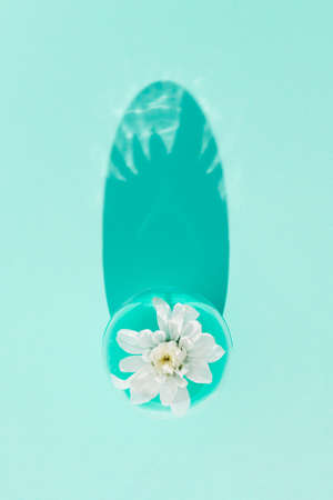 Creative flat lay composition done with white spring blossom inside the fashionable plastic egg on turquoise background. Minimal easter, spring mockup. Contemporary style. Natural sunlight lighting and sharp shadows.の写真素材
