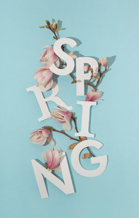 Sunlit spring letters with white and pink magnolia tree flowers and branches against pastel blue background. Minimal vertical nature season concept.の写真素材