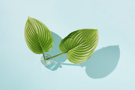 Sunlit green leaves in the crystal beer glass against the pastel blue background. Minimal nature...