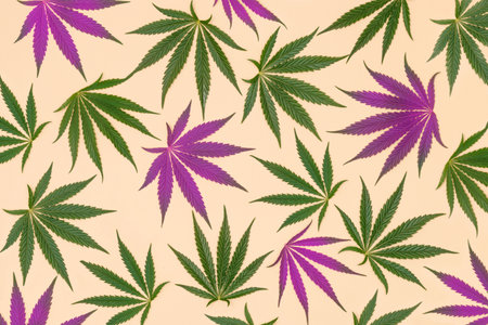Creative pattern made with green and pink marijuana, cannabis leaves on a pastel sand color background. Minimal CBD OIL concept. Legal or illegal drug levels.の写真素材
