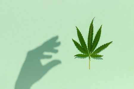 Creative concept with Marijuana leaf and shadow against pastel green background. Flat lay. Minimal cannabis concept.の写真素材