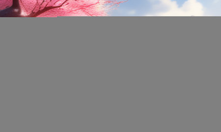 A tree with pink flowers in the background of the blue sky.の素材