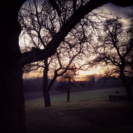 Pink Sunsetの素材