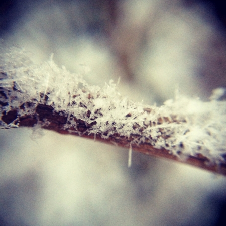 Winter Dream の素材