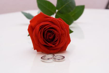 Rose and wedding ringsの写真素材