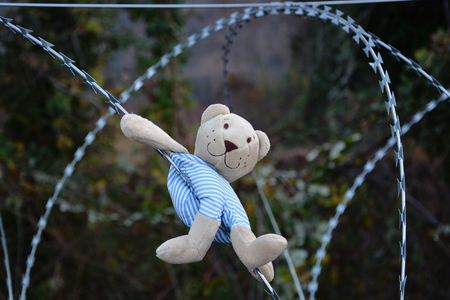 teddy bear on the barbed wireの写真素材