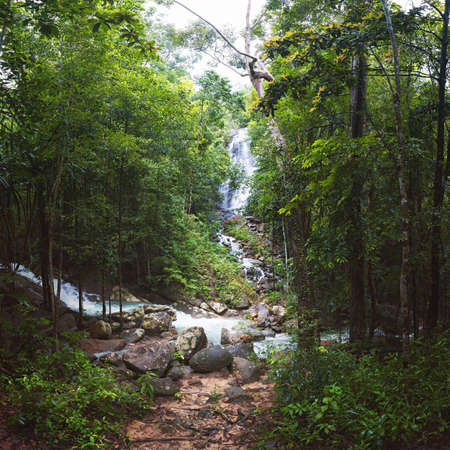 Phaeng Noi Waterfall in the Jungle on Koh Phangan Island, Thailandの写真素材
