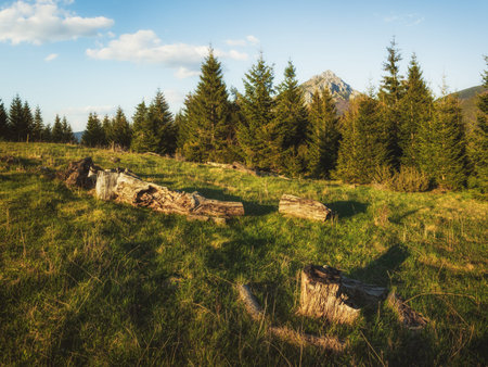 View of Velky Rozsutec from the Meadow under Poludnovy Grun, Mala Fatra, Slovakiaの写真素材