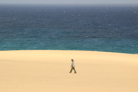 The desert dunes of Corralejo on the island of Fuerteventura. A white sand that contrasts with the...
