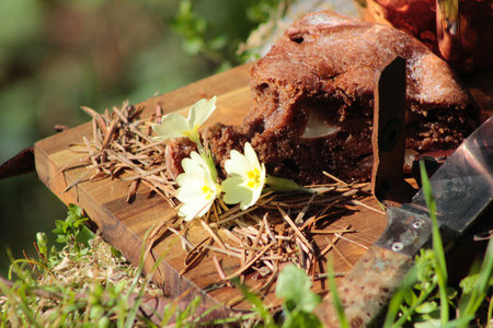 Breakfast with a cup of coffee and chocolate cake. Artistic composition with spring flowers. Afternoon tea time. tea party with muffins.の写真素材