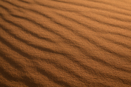 Sand ripples in the sand of the Sahara desert of Morocco.の写真素材