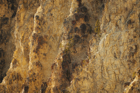 Grand canyon of the yellowstone yellow textured cliff walls with jagged rocks and other natural feature making for a great texture background backdropの写真素材