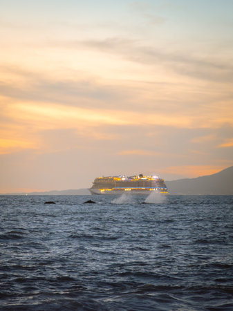 Four whales spray as they breach and splash as cruise ship leaves port in Puerto Vallarta Mexico.の写真素材