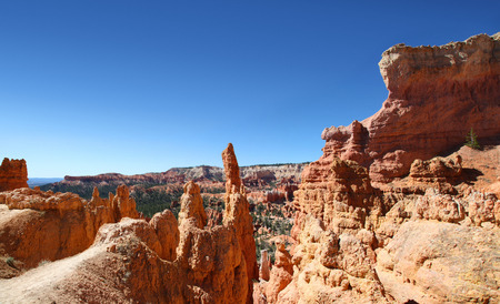 Panoramic view of the hoodoo landscape of Navajo Loop trail in Bryce Canyon National parkの写真素材