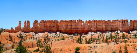 Wall of Hoodoos in Bryce Canyon National Parkの写真素材