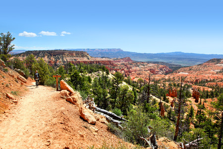 View of Bryce Canyon Landscape from Tower Bridge Trailの写真素材