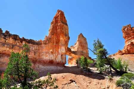 Tower Bridge Rock formation in Bryce Canyon National Parkの写真素材
