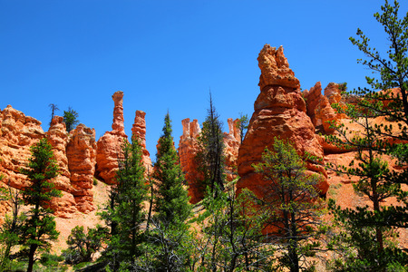 Red hoodoo spires of Bryce Canyon National Parkの写真素材