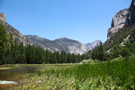 View of Zumwalt Meadow in Sequoia and Kings Canyon National Parkの写真素材