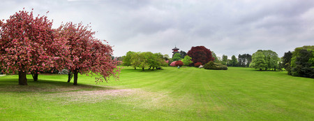 Springtime view of the Cherry Blossoms and Japanese Pagoda in Parc Royal of Brussels, Belgiumの写真素材