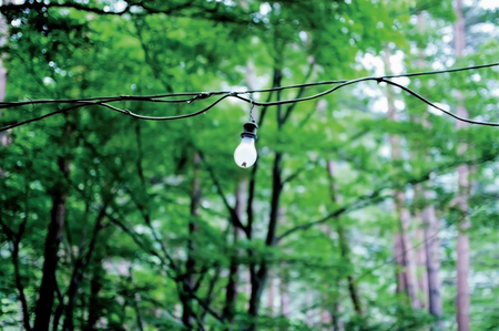 Light bulb in the Nature on the street of Yokohama, Japan. Yokohama is a port city located in a little south of Tokyo.の写真素材