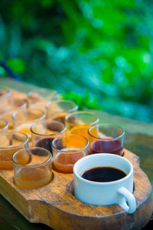 Coffee beans on the tree in Bali, Indonesia. Kopi Luwak is the most expensive coffee in the world, also called as Cat Poop Coffee. It has been produced from the coffee beans which has been digested by a certain Indonesian civet cat.の写真素材