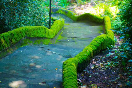 Mossy Stairs nearby the beach of the Bali island, Indonesia. Bali is an Indonesian island and known...