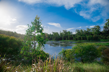 Pond nearby Brisbane city in Queensland, Australia. Australia is a continent located in the south part of the earth.の写真素材