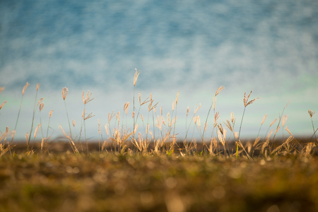 Ocean View nearby Brisbane city in Queensland, Australia.. Australia is a continent located in the south part of the earth.の写真素材
