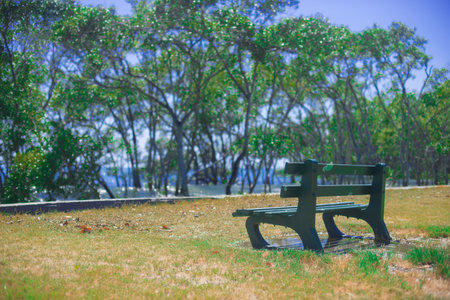 Seat nearby Brisbane city in Queensland, Australia. Australia is a continent located in the south part of the earth.の写真素材