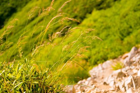 Mountain view of Tateyama in Toyama, Japan. Toyama is one of the important cities in Japan for cultures and business markets.の写真素材