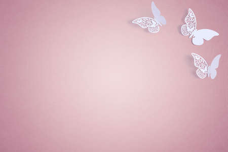 White butterfly Wedding Place Cards with copy spaceの写真素材