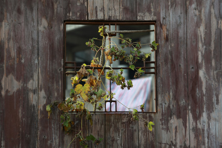 old windowの写真素材