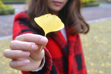 Ginkgo biloba