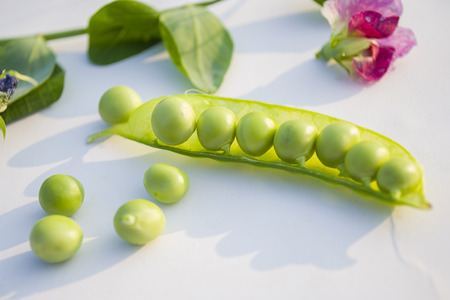 peasの写真素材