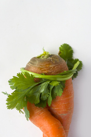 Vegetableの写真素材