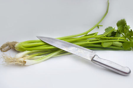 Vegetableの写真素材