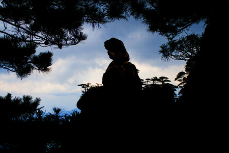 Bamboo leavesの写真素材