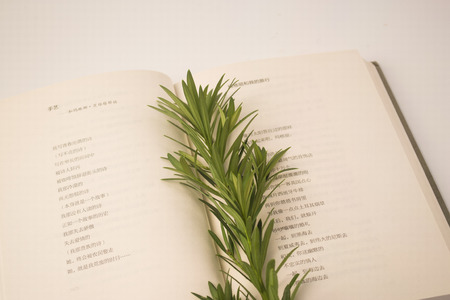 Booksのeditorial素材