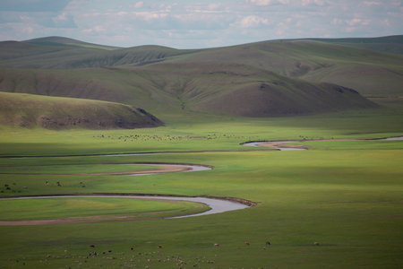 Mongolian grassland scenery in the spring, China.の写真素材