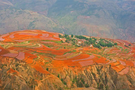 Farmlandの写真素材