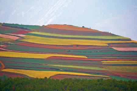 Farmlandの写真素材