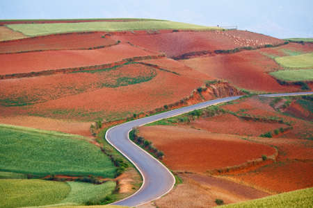 Farmlandの写真素材