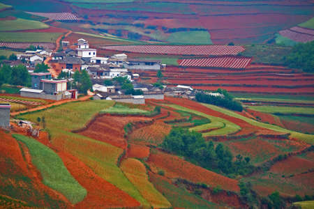 Farmlandの写真素材