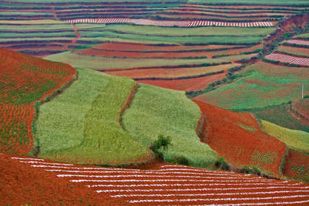 Farmland