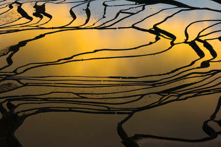 Terraced rice field  Yuanyang Hani  の写真素材